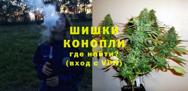 дурь Вяземский