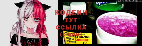 дживик Володарск