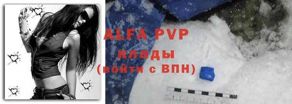 дживик Володарск