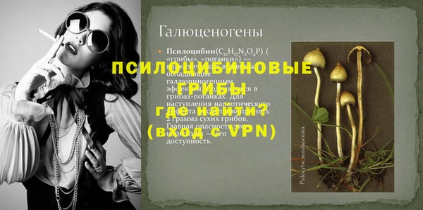 стафф Волоколамск
