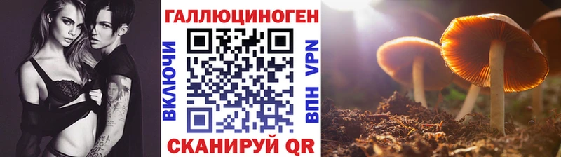 Псилоцибиновые грибы Magic Shrooms  Купить  Удомля 
